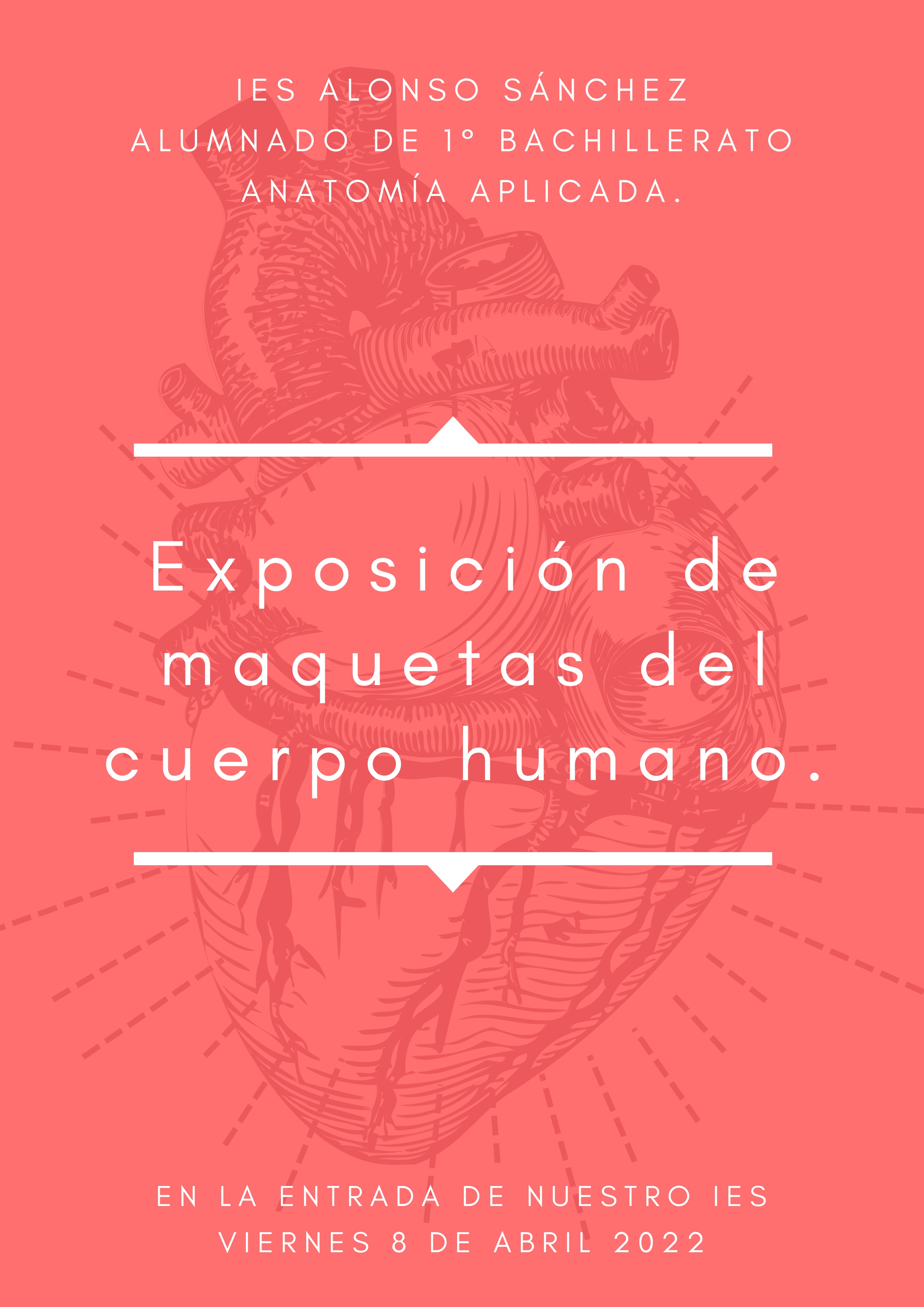 Exposicion de maquetas del cuerpo humano
